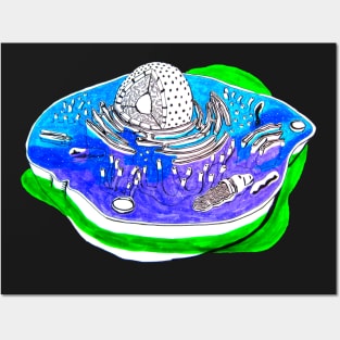 Animal Cell Posters and Art